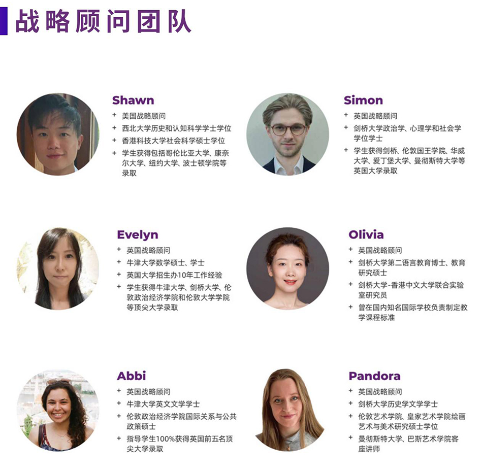 战略顾问团队